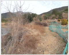  2019Ÿ��105111 �泲 â���� ���������� ���ϸ� ��� ��47     ����(�Ӿ�)���