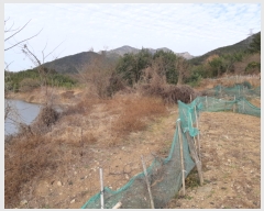  2019Ÿ��105111 �泲 â���� ���������� ���ϸ� ��� ��47     ����(�Ӿ�)���