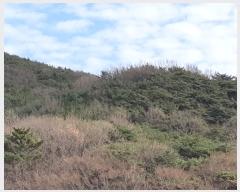  2019Ÿ��105111 �泲 â���� ���������� ���ϸ� ��� ��47     ����(�Ӿ�)���