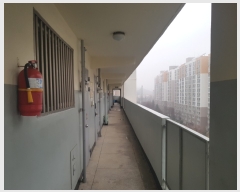  2019Ÿ19137  걸  12, 207 9907ȣ (굿,ϳְ)    Ʈ