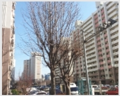  2019Ÿ19137  걸  12, 207 9907ȣ (굿,ϳְ)    Ʈ