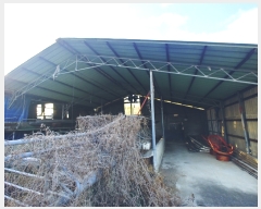  2019Ÿ75892  强 Ｍ ġ 276      (1)