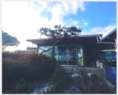  2019Ÿ75892  强 Ｍ ġ 276      (1)