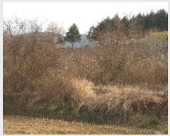  2019Ÿ75892  强 Ｍ ġ 276      (1)