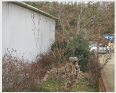  2019Ÿ��18110  ����