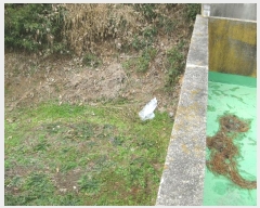  2019Ÿ��18110  ����