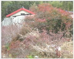  2019Ÿ��18110  ����