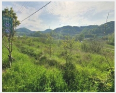  2019Ÿ��64953 ���� ȭ���� ���� ���ϸ� 158      ����(��1)���