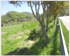  2019Ÿ��64953 ���� ȭ���� ���� ���ϸ� 158      ����(��1)���