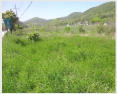  2019Ÿ��64953 ���� ȭ���� ���� ���ϸ� 158      ����(��1)���