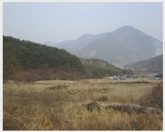  2019Ÿ��2221 ���� ��� ��絿�� ��� ��162      ����(�Ӿ�)���