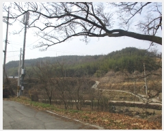  2019Ÿ��2221 ���� ��� ��絿�� ��� ��162      ����(�Ӿ�)���