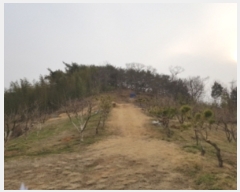  2019Ÿ��2221 ���� ��� ��絿�� ��� ��162      ����(�Ӿ�)���