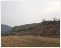  2019Ÿ��2221 ���� ��� ��絿�� ��� ��162      ����(�Ӿ�)���