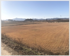  2019Ÿ��10888 ���� �强�� �Ｍ�� �� 975-2      ����(��)���