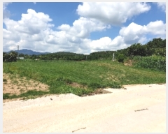  2019Ÿ��10888 ���� �强�� �Ｍ�� �� 975-2      ����(��)���