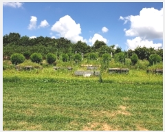  2019Ÿ��10888 ���� �强�� �Ｍ�� �� 975-2      ����(��)���