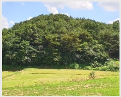  2019Ÿ��10888 ���� �强�� �Ｍ�� �� 975-2      ����(��)���