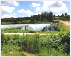  2019Ÿ��10888 ���� �强�� �Ｍ�� �� 975-2      ����(��)���