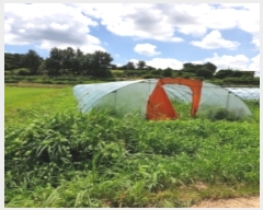  2019Ÿ��10888 ���� �强�� �Ｍ�� �� 975-2      ����(��)���