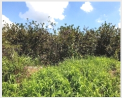  2019Ÿ��10888 ���� �强�� �Ｍ�� �� 975-2      ����(��)���