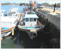  2019Ÿ��1272 (����) ������ ������        ���ڰ��