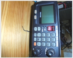  2019Ÿ��1272 (����) ������ ������        ���ڰ��