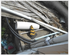  2019Ÿ��4196 ���� ����� ������ �񼺸� 635-2      ����(����)���