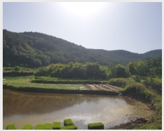  2019Ÿ4431   Ȳ浿 1107       ()