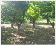  2019Ÿ4431   Ȳ浿 1107       ()