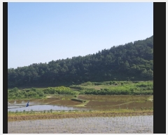  2019Ÿ4431   Ȳ浿 1107       ()