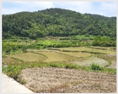  2019Ÿ4431   Ȳ浿 1107       ()