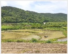  2019Ÿ4431   Ȳ浿 1107       ()