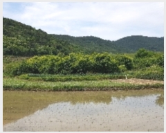  2019Ÿ4431   Ȳ浿 1107       ()