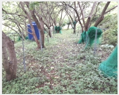  2019Ÿ��6222 ���� ������ �Ҷ�� �׸��� 751-25      ����(��1)���