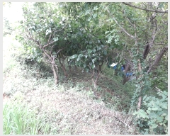  2019Ÿ��6222 ���� ������ �Ҷ�� �׸��� 751-25      ����(��1)���