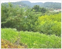  2019Ÿ��6222 ���� ������ �Ҷ�� �׸��� 751-25      ����(��1)���