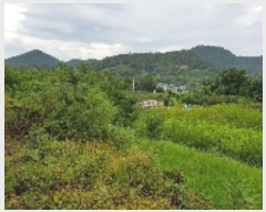  2019Ÿ��6222 ���� ������ �Ҷ�� �׸��� 751-25      ����(��1)���