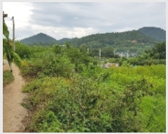  2019Ÿ��6222 ���� ������ �Ҷ�� �׸��� 751-25      ����(��1)���