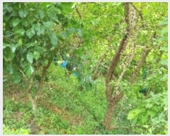  2019Ÿ��6222 ���� ������ �Ҷ�� �׸��� 751-25      ����(��1)���