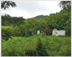  2019Ÿ��6222 ���� ������ �Ҷ�� �׸��� 751-25      ����(��1)���