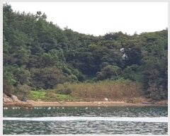  2019Ÿ��6871 ���� ���ﱺ ������ ���ϸ� ��122      ����(��1)���