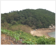  2019Ÿ��6871 ���� ���ﱺ ������ ���ϸ� ��122      ����(��1)���