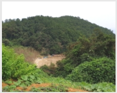  2019Ÿ��6871 ���� ���ﱺ ������ ���ϸ� ��122      ����(��1)���