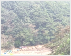  2019Ÿ��6871 ���� ���ﱺ ������ ���ϸ� ��122      ����(��1)���