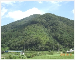  2019Ÿ��7249 ���� ��õ�� Ȳ���� ���̸� ��200      ����(�Ӿ�)���