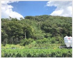  2019Ÿ��7249 ���� ��õ�� Ȳ���� ���̸� ��200      ����(�Ӿ�)���