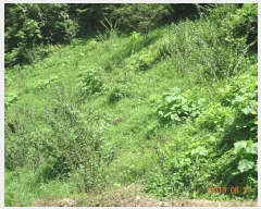  2019Ÿ��7249 ���� ��õ�� Ȳ���� ���̸� ��200      ����(�Ӿ�)���