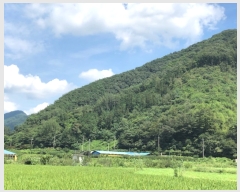  2019Ÿ��7249 ���� ��õ�� Ȳ���� ���̸� ��200      ����(�Ӿ�)���