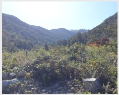  2019Ÿ��8655 ���� ���ʱ� ��ô�� ������ ��15      ����(�Ӿ�)���